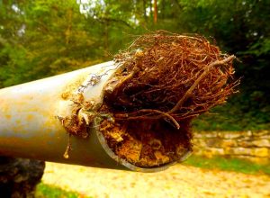 Common Causes of Sewer Line Damage Repair