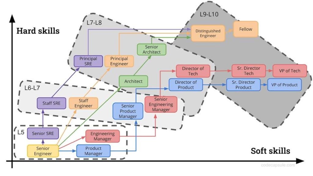 Professional career ladder showing progression from coordinator to specialist roles with upward arrows